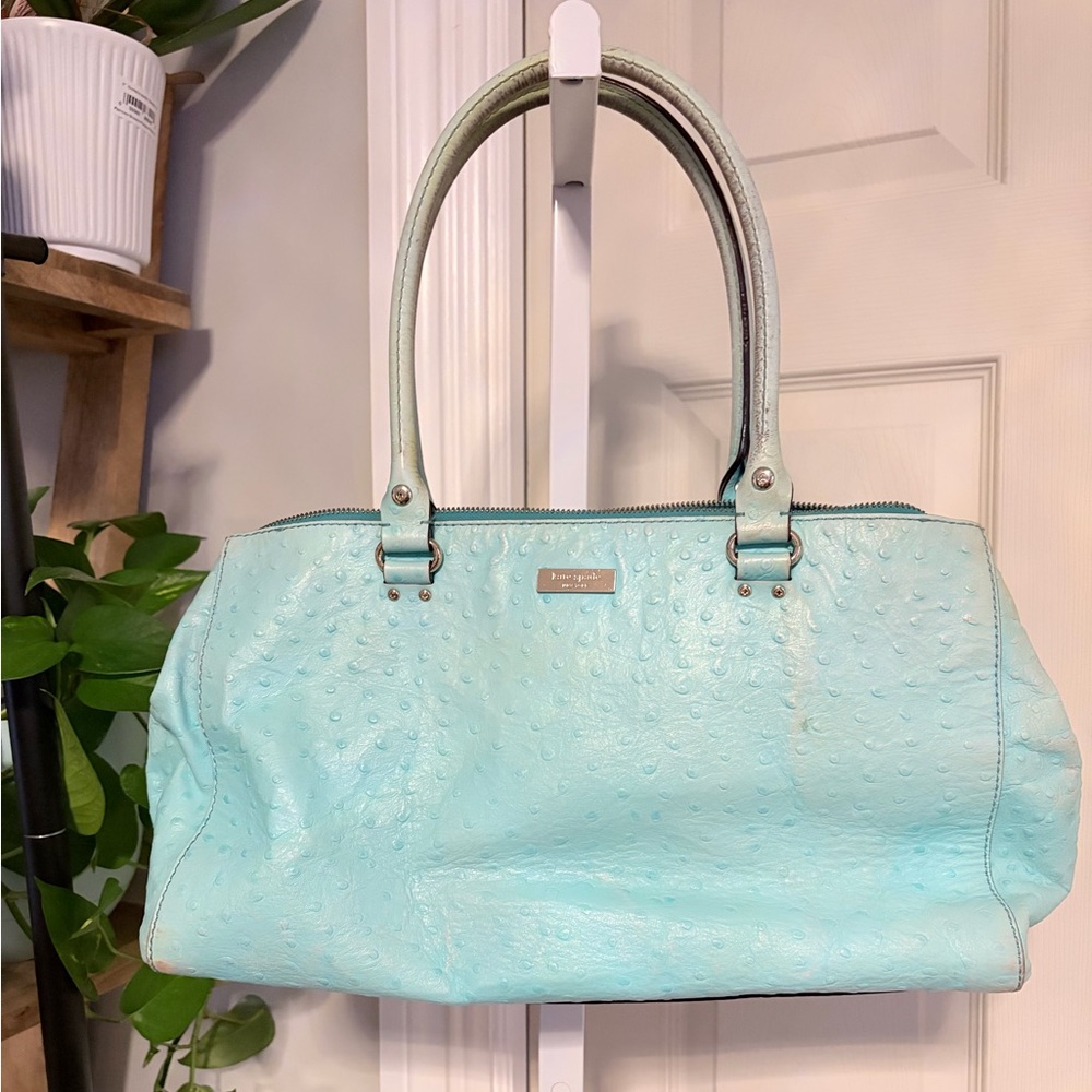 Kate Spade ostrich project bag